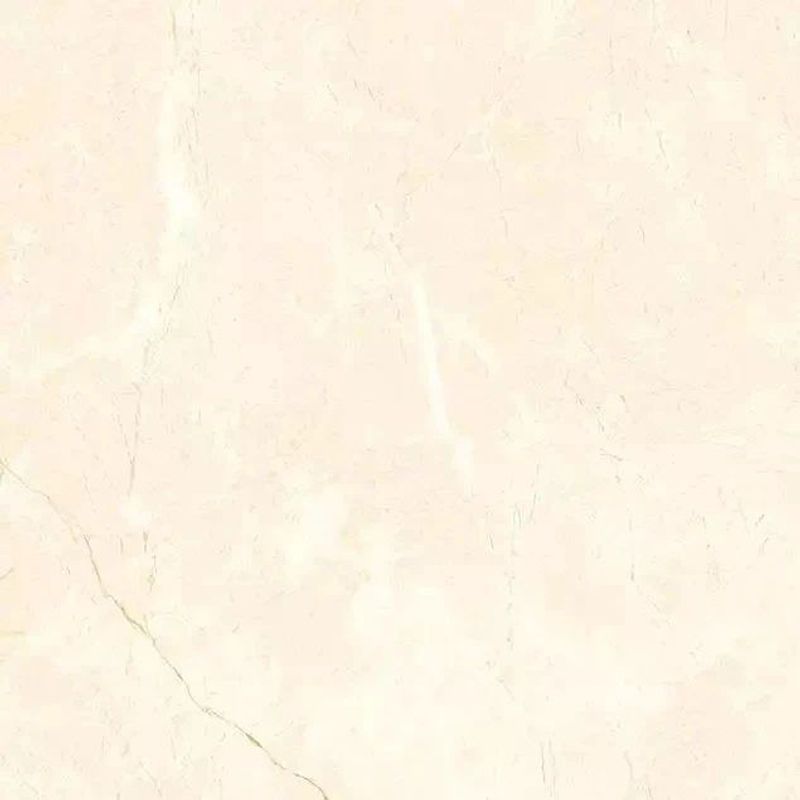 Керамогранит PRIMAVERA/ТШ Джимара TP66M11 600х600х9 1,8/54