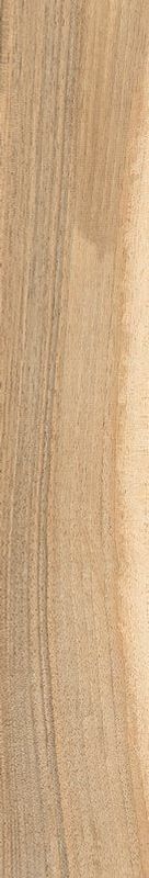 Керамогранит sadon sherwood Oak 75х450