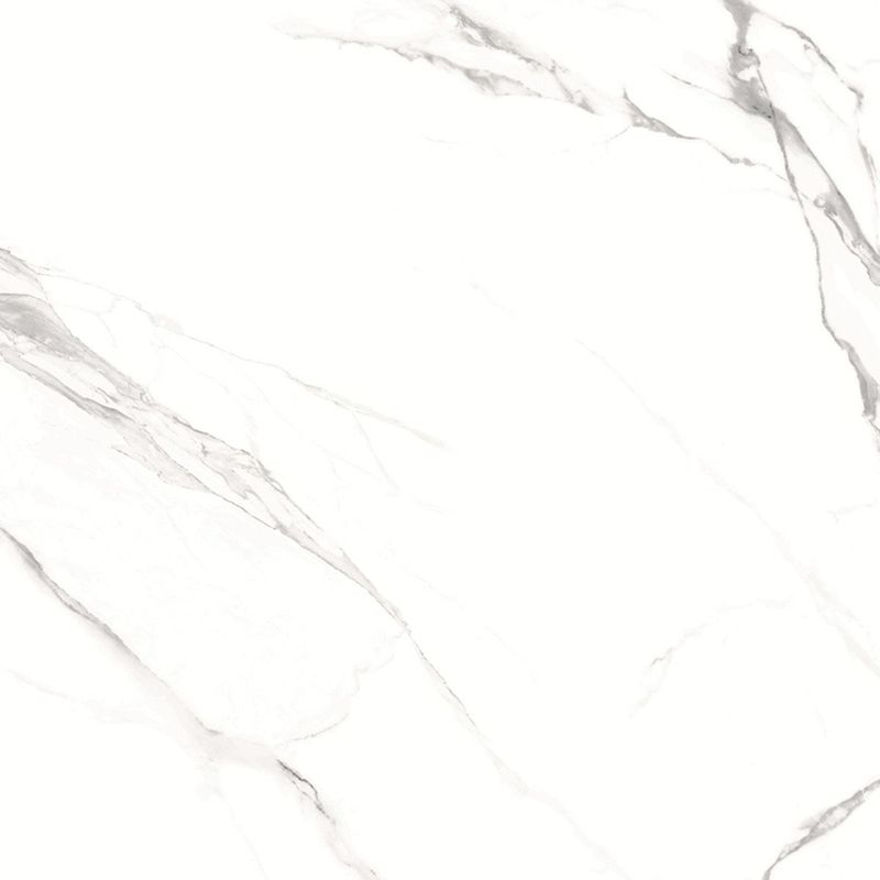 Керамогранит GlobalTile Альфанзо / Alfanzo Бел. 600х600, фото 1 из 4