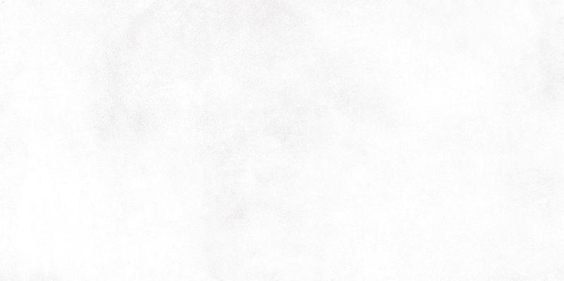 Плитка настенная New Trend Конор / Konor белый / White 249х500, фото 1 из 4