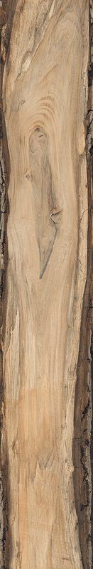 Керамогранит sadon sherwood Oak 240х1500