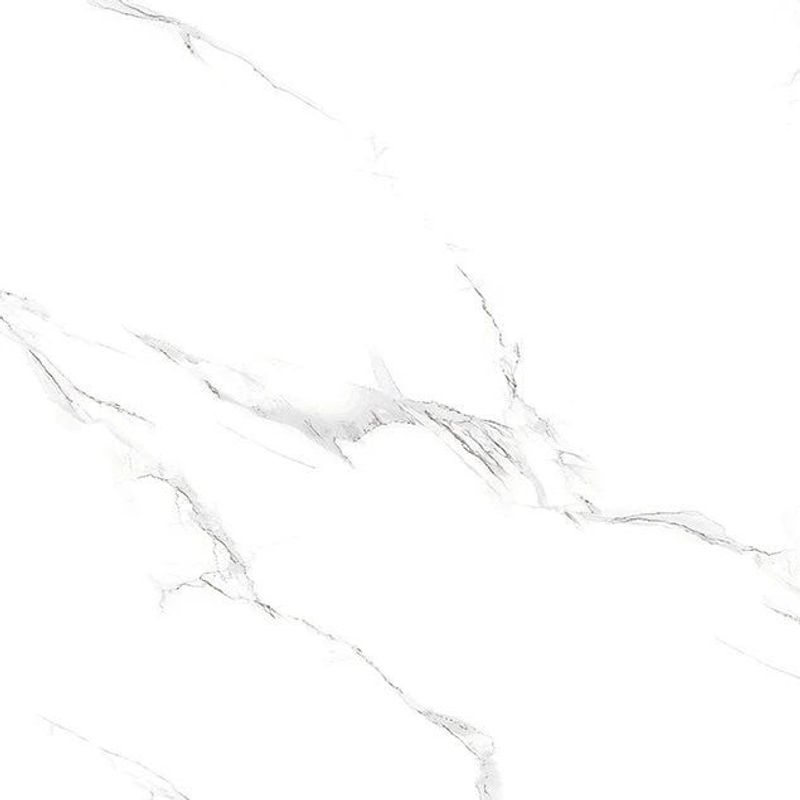 Керамогранит PRIMAVERA/ТШ TP60G28 600х600х9 1,8/54 глянцевый