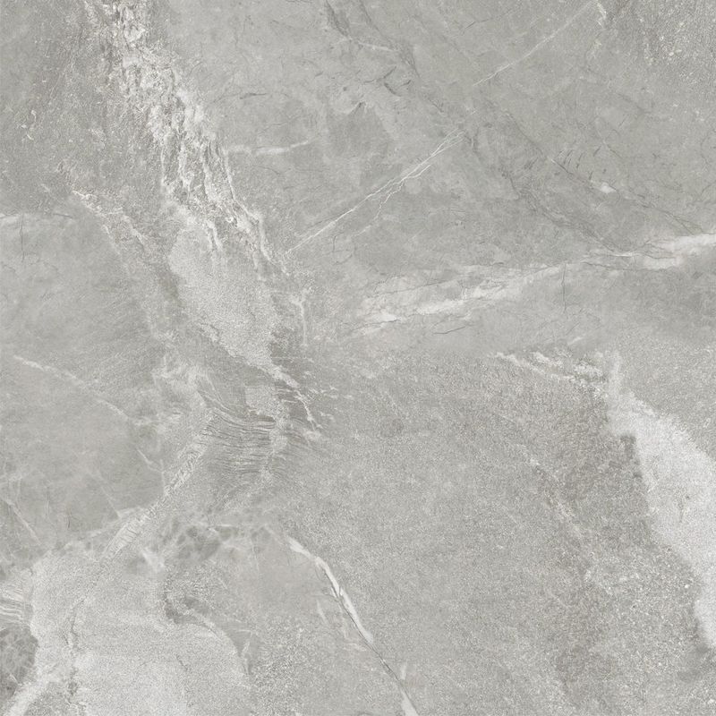 Керамогранит New Trend Вайлд / Wild (керамогранит) светлый / Wild Light 600х600, фото 1 из 4